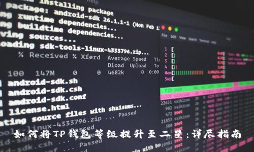 如何将TP钱包等级提升至二星：详尽指南