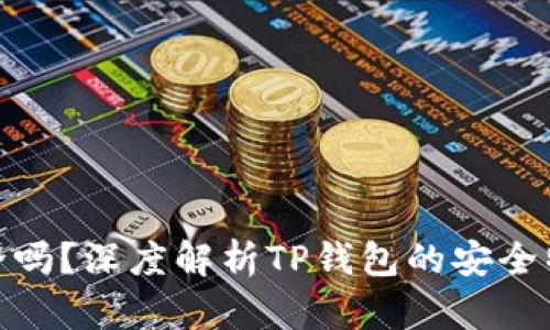 TP钱包私钥安全吗？深度解析TP钱包的安全特性与保护措施