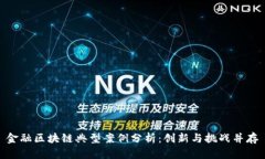金融区块链典型案例分析：创新与挑战并存